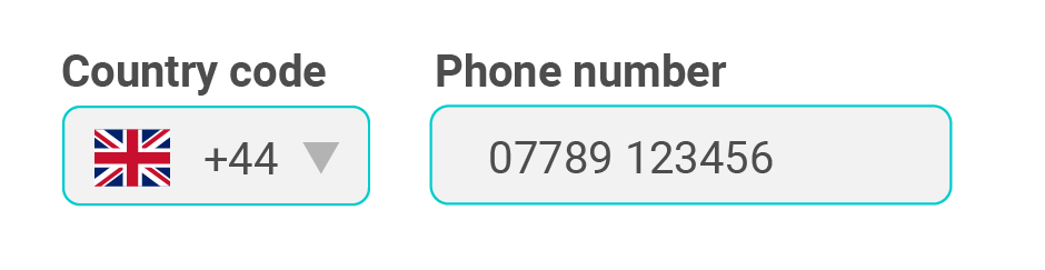 screenshot showing international phone number collection form