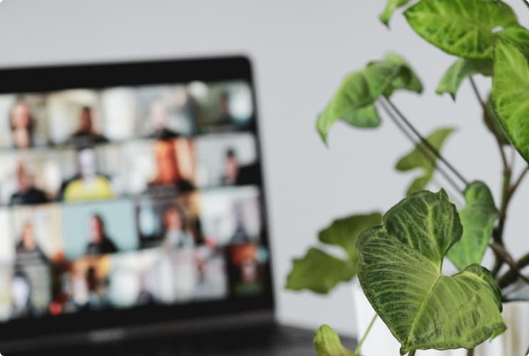 Allies are 100 percent remote and inclusive